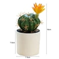 thumbnail image 5 of Artificial Cactus Plants, Mini Fake Desert Plants in White Pots, 5 of 8