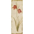 thumbnail image 2 of Blum, Cheri 9x18 White Modern Wood Framed Museum Art Print Titled - Red Tulip Panel on White Vintage, 2 of 4