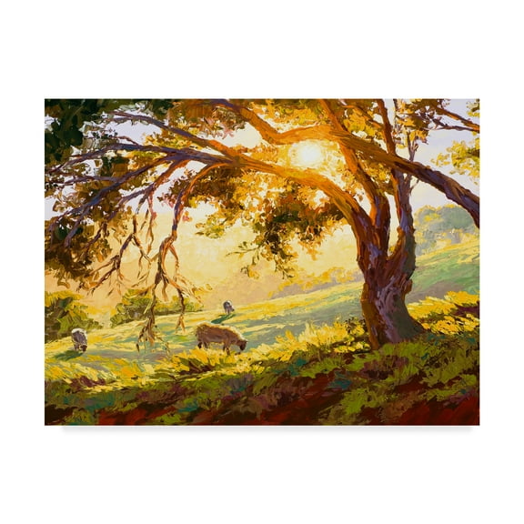 Trademark Fine Art 'Restful Radiance' Canvas Art by Erin Dertner