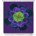 thumbnail image 1 of Shower Curtains 70" x 93" from DiaNoche Designs by Pam Amos - Ghost Flower Purple Yellow, 1 of 1