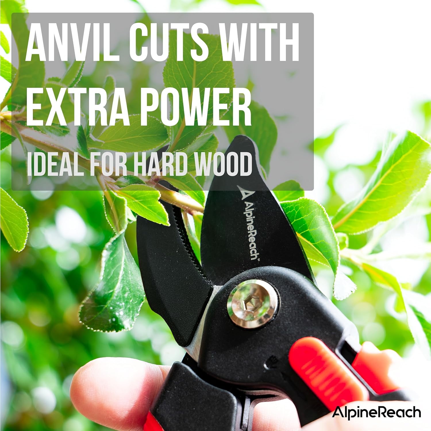 Pruning She Set Bypass and Anvil for Gardening, Sharp Ergonomic Pruners, Adjustable Soft Handle for Small & Large Hands, Heavy Duty High Carbon Steel Blade, Secateurs, Gift Box