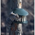 thumbnail image 2 of Comedero para animales de Heritage Farms Woodlink Squirrel Diner, 1,8 kg, 2 of 5