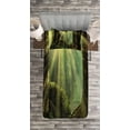 thumbnail image 3 of Ambesonne Forest Quilted Bedspread Set 2 Pcs, Sunbeam Moss Tree Bodies, Twin Size, Olive and Army Green, 3 of 3