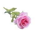 thumbnail image 1 of 20 Pieces/Kit Fake Roses Portable Solid Color Simulation Household Wedding Party Artificial Flower Branch Photography Prop, 1 of 10