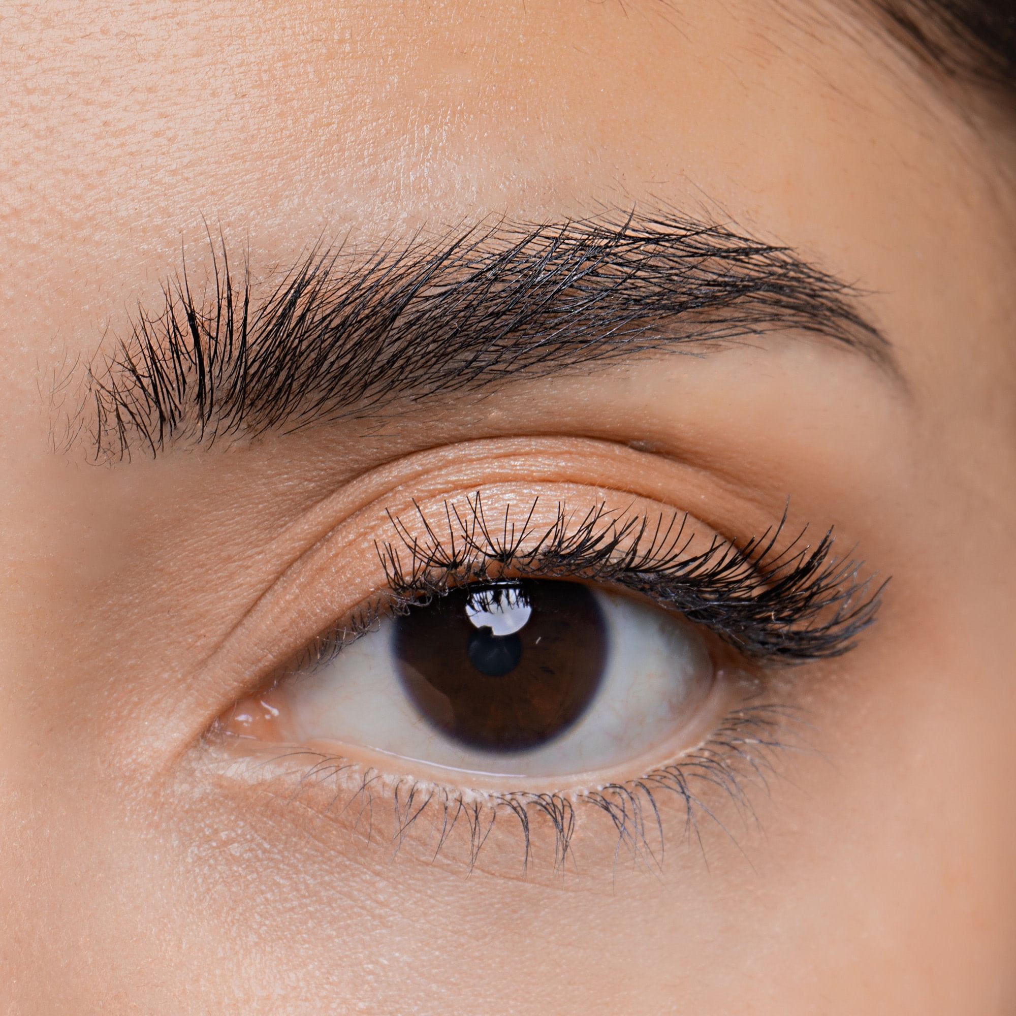 Wet n Wild Brow-Sessive Eyebrow Shaping Gel, Brown