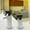 2Pcs Food Grade Oil Sprayer Under $5 a1, variant on Iuhan 2Pcs Stainless Steel Oil Sprayer Refillable Bottle, Food Grade Kitchen Oil & Liquid Dispenser, Fine Mist Sprayer for Cooking Baking Grilling, Non-Clogging Olive Oil Sprayer for Air Fryer Salad