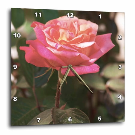 3drose, Rose Garden, Le Brusc, Cote Dazur, Var, France - Eu09 Pka1326 - Per Karlsson, 10x10 Wall Clock
