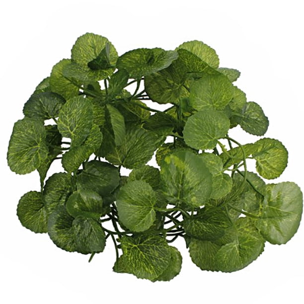 KAKOWELY Guirnalda de hojas artificiales de manzano silvestre de 2 m para interiores, decorativa para patio (verde)
