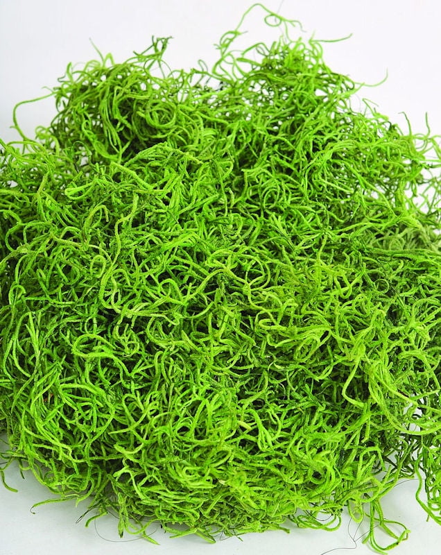 Green Spanish Moss, 1 Each