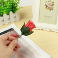 thumbnail image 6 of Magic Trick Appearing Rose, 25cm, Stage Magic Prop, for Magician, Party Favor, 6 of 6