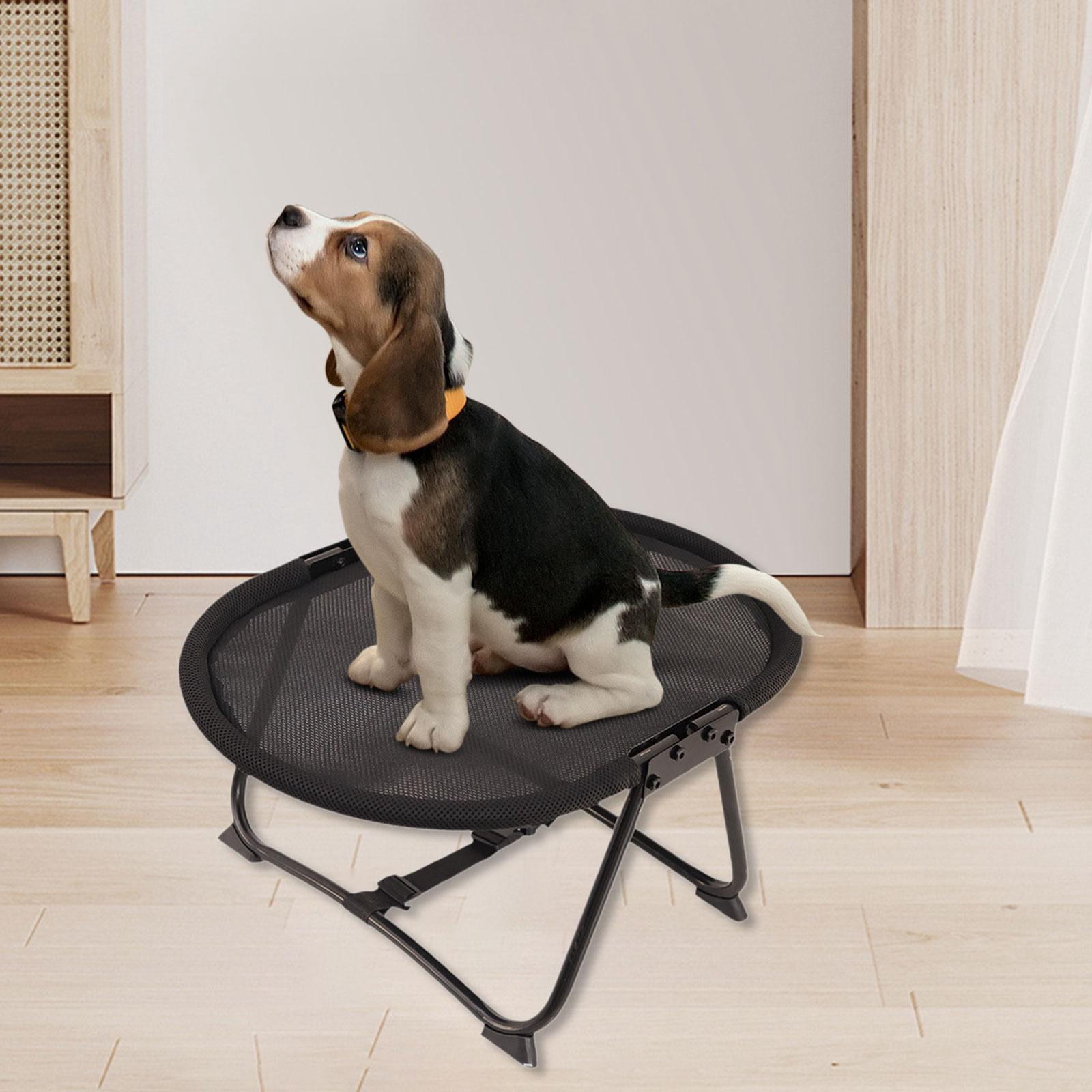Bvdfgk Elevated Dog Bed Foldable Iron Frame Travel Sleeping Mat Pet Furniture for Small Mesh