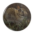 thumbnail image 1 of Backyard Bunny Rabbit Hare Pinback Button Pin, 1 of 5