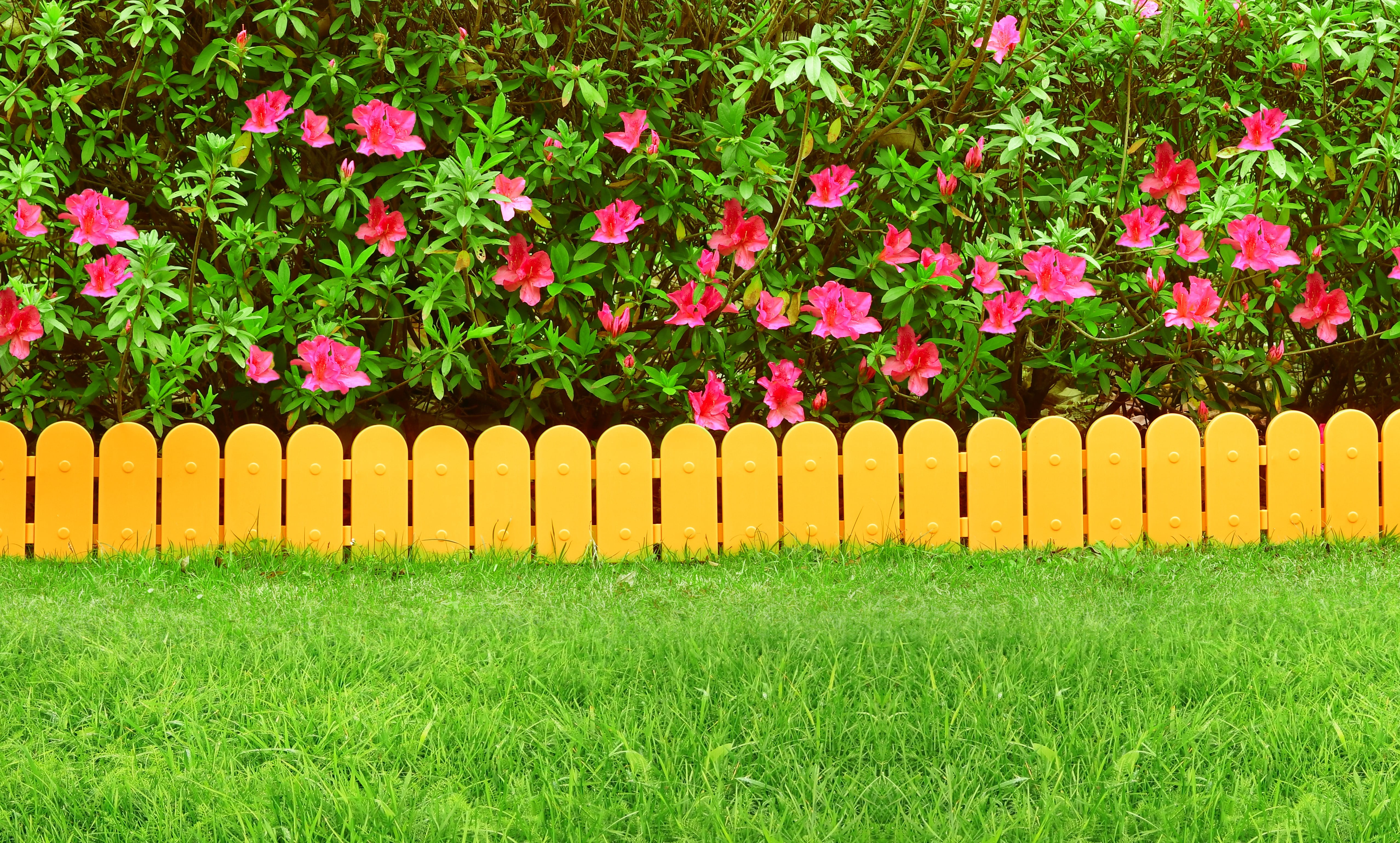Evelyne Garden Border Edging: Wooden Fence Design - 8pcs Timber Yard Landscaping Fence Liner Lawn Edge Barrier - 10ft Kit of Decorative Lawn Landscape Panels Elements - GMT-10374-C08