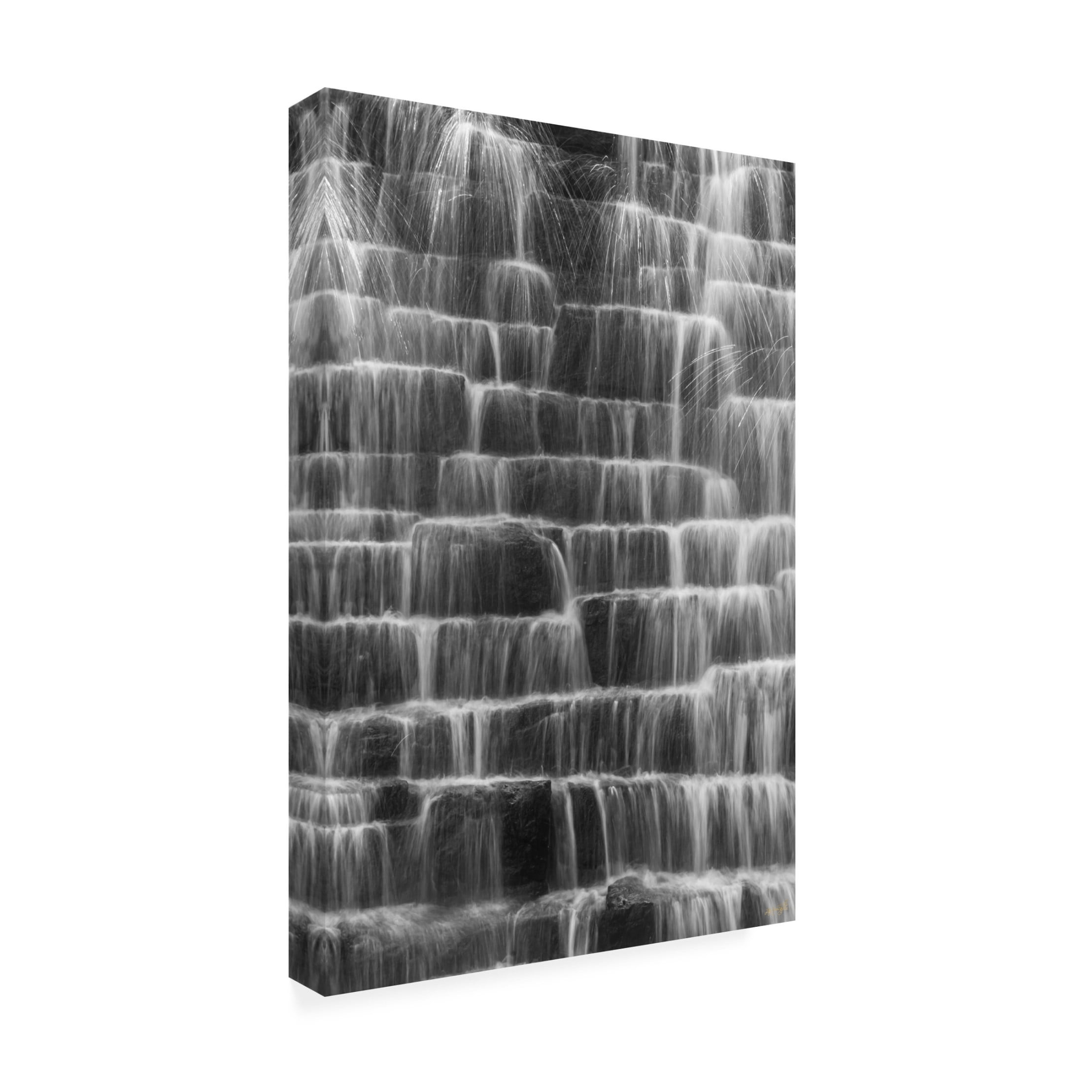 Canvas Wall Art - Life BeautifuLEE 'Water Steps 2' Wall Art for Living Room, Bedroom, or Office Décor by Trademark Fine Art - 30 x 47 Inches