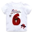 thumbnail image 3 of Marvels camiseta de cumpleaños para niños y niñas, ropa Digital, Pup Wiki, Spiderman, Tops de verano, ropa para niños, regalos para años, 3 of 4