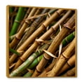 thumbnail image 2 of Designart "Close-Up Of The Bamboo Field I" Bamboo Floater Framed Wall Art Living Room, 2 of 5