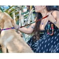 thumbnail image 3 of Aztec Tribal Print Pattern Material Pet Dog Leash with Handle and Clasp - Animal Fashion Handmade Boho Accessories, 3 of 3