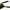 Rainforest Black, variant on Spro SBEF65HRNT Dean Rojas Bronzeye Fishing Bait, Hornet