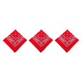 thumbnail image 1 of Naiovety Unisex Poliéster Turbante Bandana Chic Bufanda Cuadrada Paisley Estampado Diadema Senderismo Moderno Pañuelo Regalos Rojo Type1 NO1 Naiovety CBP263468, 1 of 6