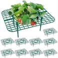 thumbnail image 3 of Paquete de 10 Soportes para Plantas de Fresa, Soporte para Plantar Fresas, Estantes para Cultivo de Fresas, para Cultivo de Fresas, 3 of 5