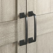 Sauder Two-Door Storage Cabinet, Spring Maple Finish