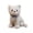 B, variant on zhonghuaying Cat Stuffed Animals Cute Soft Kitten Plush Doll Small Kitty Plushies Toys Gifts for boys girls Grey 7 inch