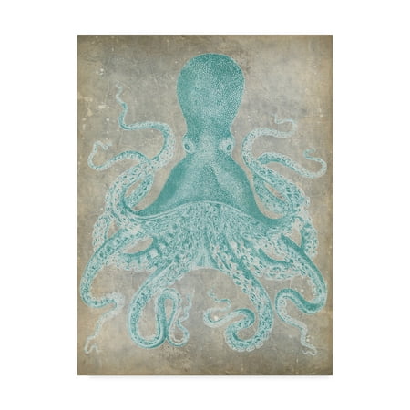- Trademark Fine Art 'Spa Octopus I' Canvas Art by Jennifer Goldberger