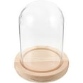 Preserved Flower Glass Dome Display Dome Transparent Glass Dome with