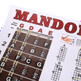 Winyuyby Mandolin Poster Chart Chord Musical Trainning Instrument Guide
