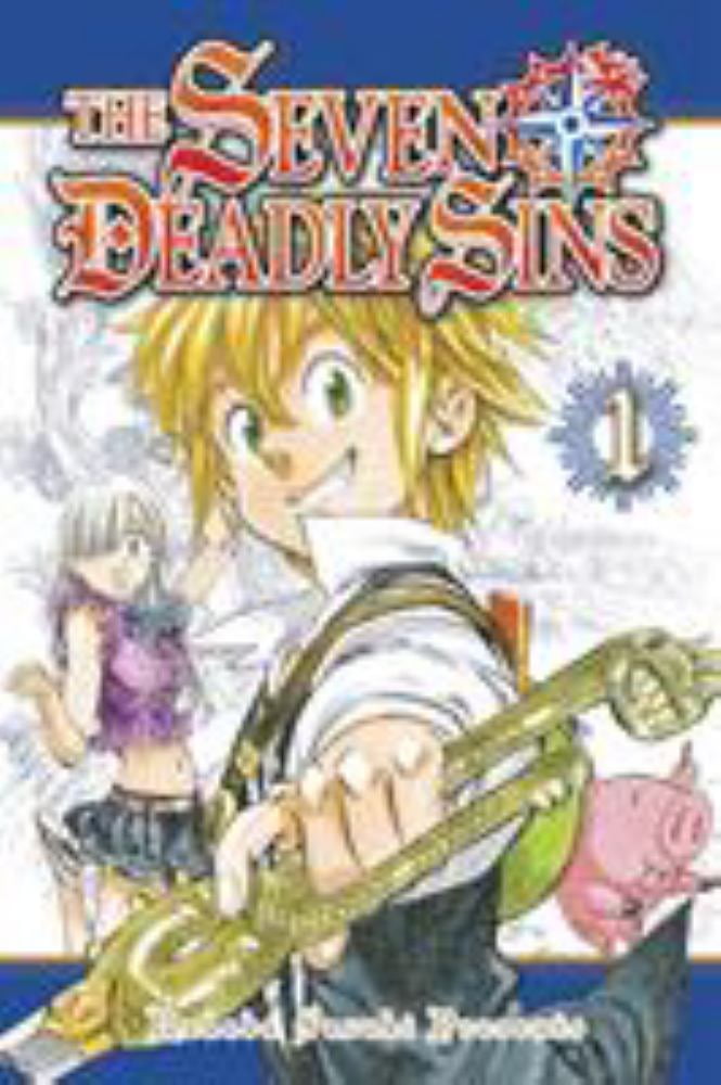 Fairy Tail 1 (Paperback) - Walmart.com