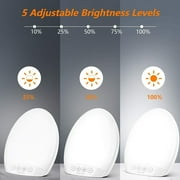 Daylight Therapy Lamp, UV-Free Touch Control Light with Rotatable Stand & Timer Function, Portable Full Spectrum LED Light for Seasonal Blues