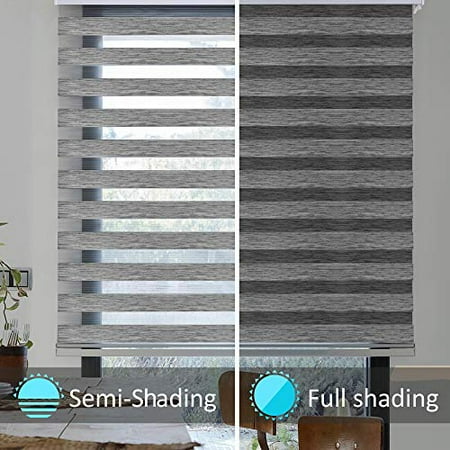 zebra wymo econo filtering nighttime valence daytime