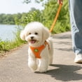 thumbnail image 7 of Pet Chest Harness, Reflective Dog Harness, Small Dog Harness and Leash Set, Mesh Dog Harness Breathable, Bright Blue Adjustable Lightweight No-Pull Step-In Vest Pet Harness with, 7 of 7