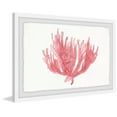 thumbnail image 2 of Marmont Hill Lone Coral Framed Wall Art, 8" x 12", 2 of 6