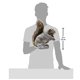 thumbnail image 2 of Marioneta de mano Folkmanis, ardilla gris, 9 x 6 x 11 pulgadas, 2 of 2