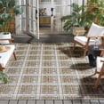 thumbnail image 3 of Safavieh Beach House Eliot Geometric Indoor/Outdoor Area Rug, Brown/Ivory, 4' x 6', 3 of 7