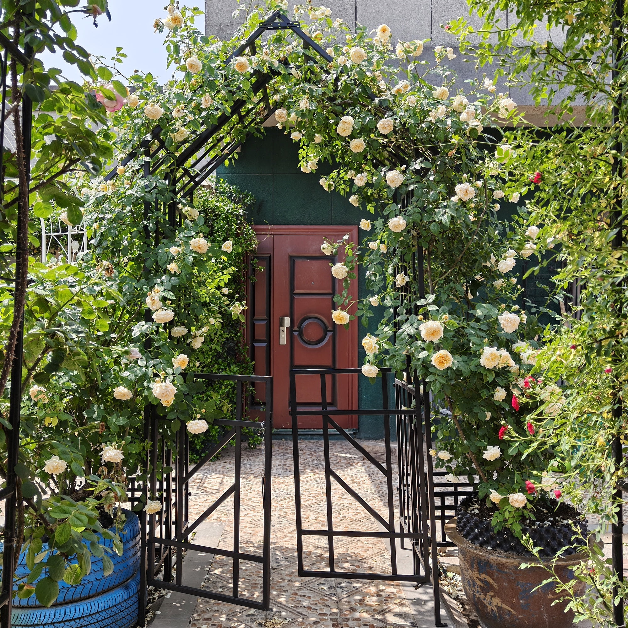 Garden Arch with Gate, Climbing Plants Support Rose Arch Outdoor Black