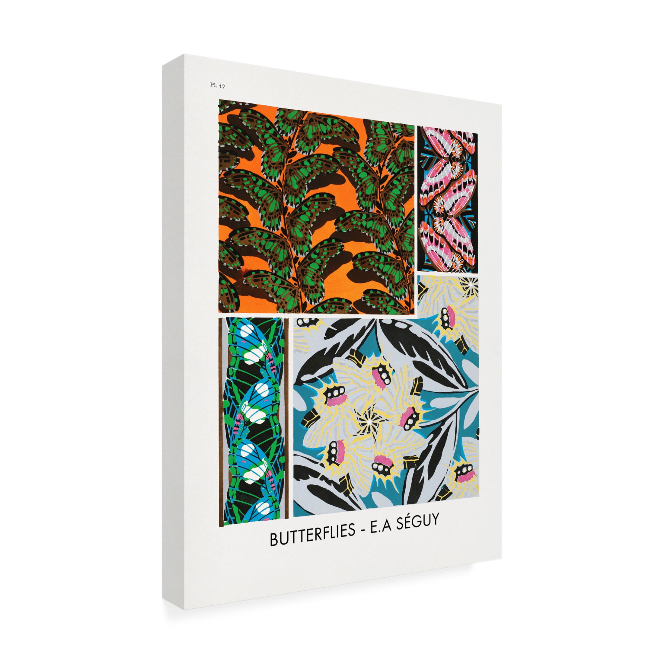 Trademark Fine Art Pictufy Butterflies 17 Canvas Wall Art