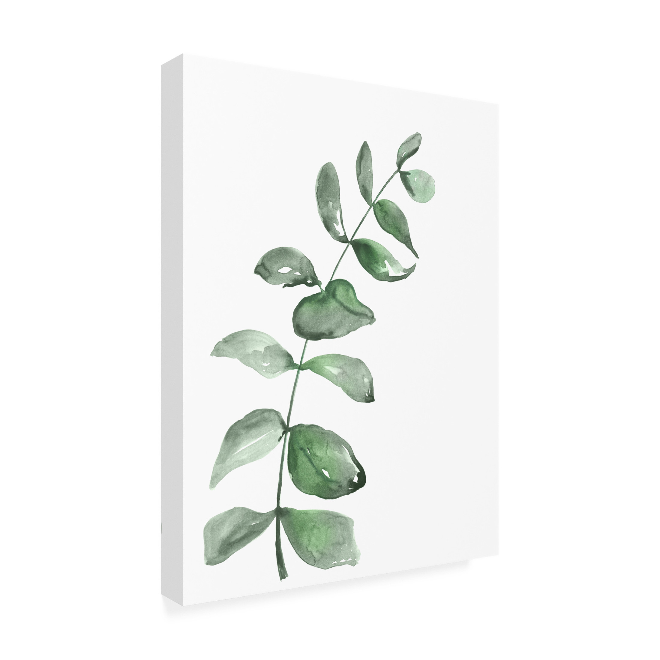 Trademark Fine Art Rosana Laiz Blursbyai Watercolor greenery branch Canvas Wall Art
