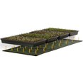 thumbnail image 4 of Alfombrilla Térmica Hydrofarm MT10009 122x51 cm 107W Certificada UL, 4 of 8