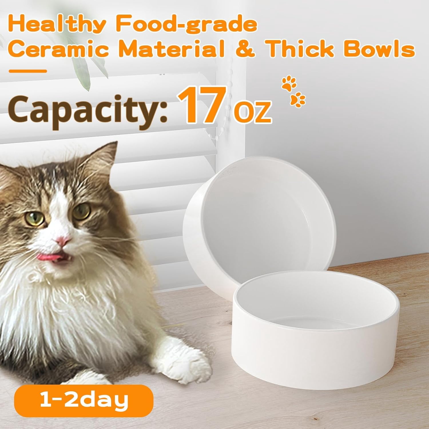 Elevated Cat Bowl, Raised Ceramic Dish, 100% Waterproof Cat and Dog Bowls, 15° Tilted Raised Stand Slip Resistant Raised Edges, Catch Water, Food Mess, No Spills