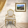 thumbnail image 3 of Grayscale 24x19 Gold Ornate Wood Framed with Double Matting Museum Art Print Titled - Rock Path I, 3 of 4