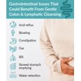 thumbnail image 5 of Organixx Colon & Lymphatic Supplements - Detox Cleanse Capsule with Probiotics for Gut Health, Digestive Support, & Healthier Lymphatic System, Gluten Free, Non GMO, Soy Free - 60 Vegetarian Capsules, 5 of 6