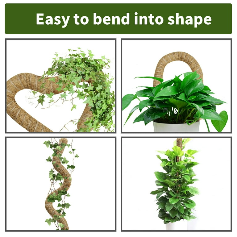 【新品未使用】MOSS STICK SW50 24-25 Amazon.com : 3 Pack Moss Pole, 50 Inch Monstera Plant