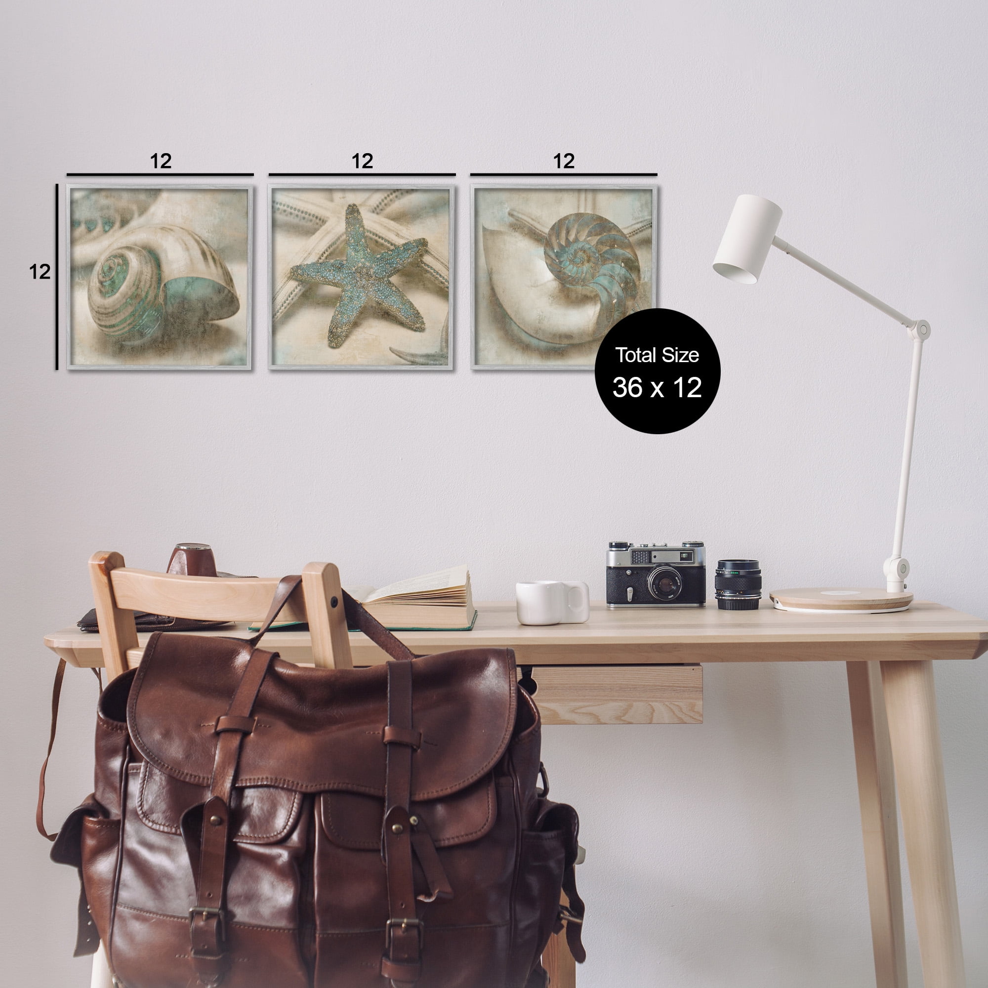 Stupell Industries Starfish & Sea Shells Distressed Nature Painting Gray Framed Art Print Wall Art, 12 x 12, Set of 3