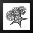 thumbnail image 2 of Koetsier, Albert 15x15 Black Modern Framed Museum Art Print Titled - Starfish and Sand Dollar, 2 of 5