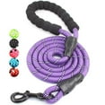 thumbnail image 1 of Durable Dog Leash, Strongest 1/2 Inch Diameter Rock Climbing Rope Leash with Comfortable Padded Handle and Reflective Threads, Heavy Duty Braided Leash for Small Medium Large Dogs?5 FT? C, 1 of 5