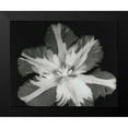thumbnail image 2 of Koetsier, Albert 24x20 Black Modern Framed Museum Art Print Titled - Big Blossom II, 2 of 5
