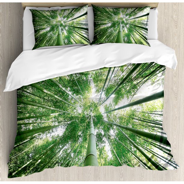Bamboo Duvet Cover Set Queen Size, Tropical Rain Forest Tall Bamboo Trees in Grove Exotic Asian