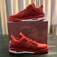 thumbnail image 2 of Jordan Jordan 4 Nigel Sylvester Vélo Air, 2 of 5